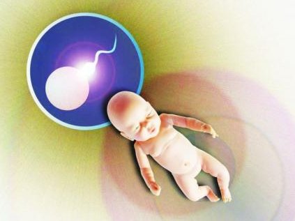 官方回应未婚怀孕可不可以休产假，是否带薪看完就清楚