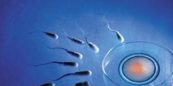 焦作市妇幼保健院试管婴儿费用详解，一次多少钱清清楚楚