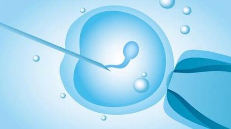 泰国三代试管婴儿医院哪家好？专业解析助您抉择