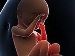 泰国哪里可以做第三代试管？泰国第三代试管婴儿哪家好？