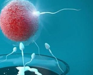 详细解读遵义市做长方案试管婴儿费用，长方案和短方案成功率有差别吗？